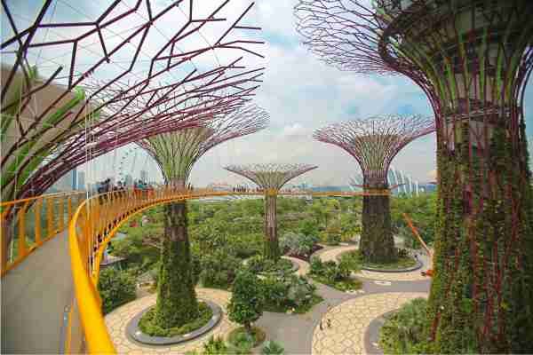Night Safari Singapore Adventure – Let’s Explore Together!
