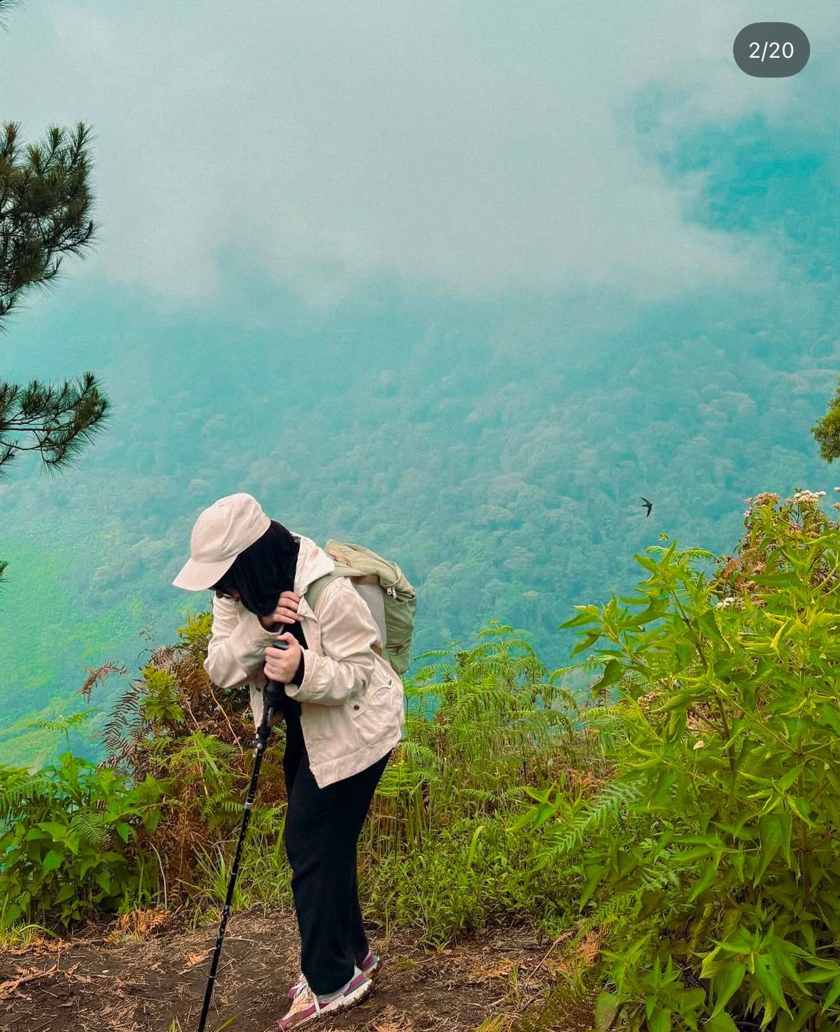 Jelajah Gunung Sangar Bandung: Petualangan Menembus Dataran Tinggi - 3