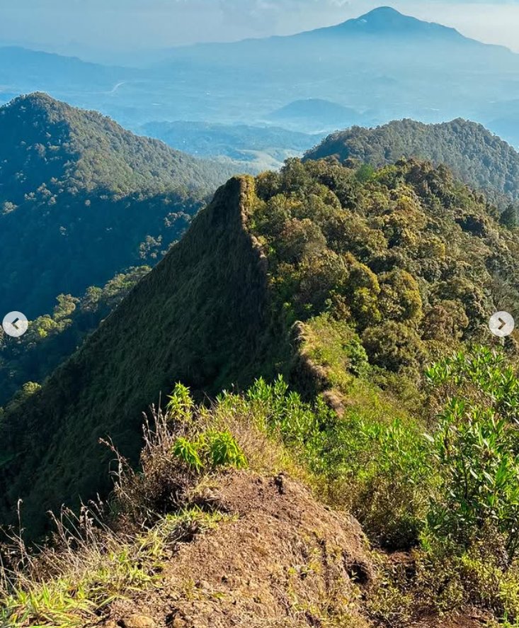 Jelajah Gunung Kerenceng Bandung: Petualangan Menembus Hutan Tersembunyi - 4