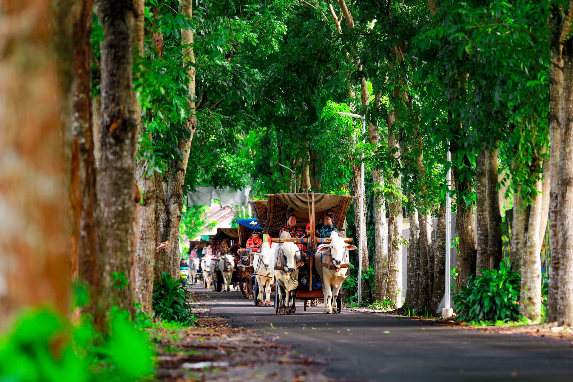 Jelajah Omah Kecebong: Pengalaman Budaya Jawa Otentik, Gerobak Sapi & Kuliner Tradisional Jogja - 3