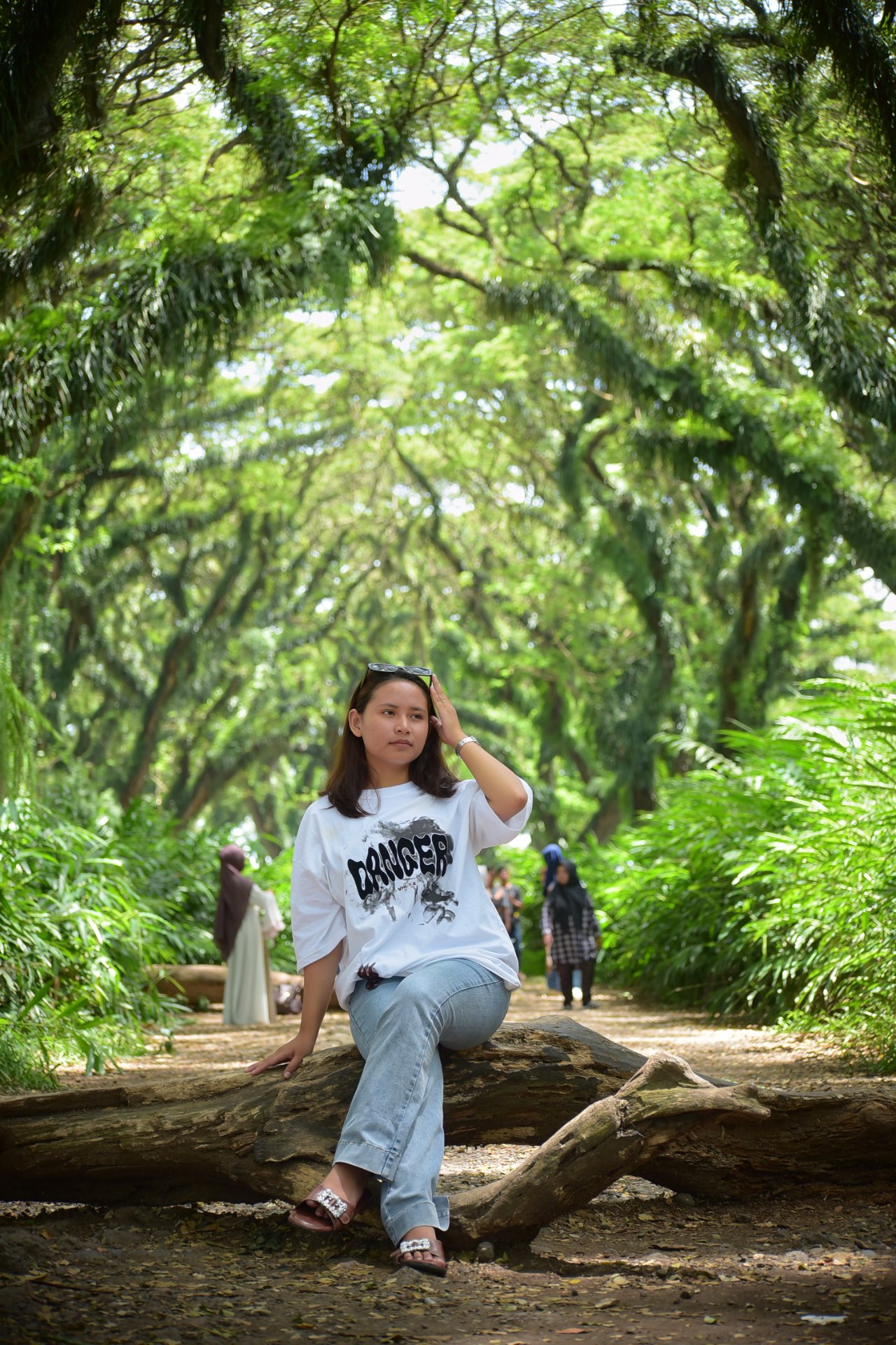 Jelajah Hutan Dongeng De Djawatan: Sesi Foto Memukau di Bawah Naungan Trembesi Raksasa Banyuwangi - 2
